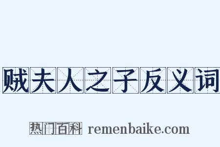 贼夫人之子反义词是什么意思的图片